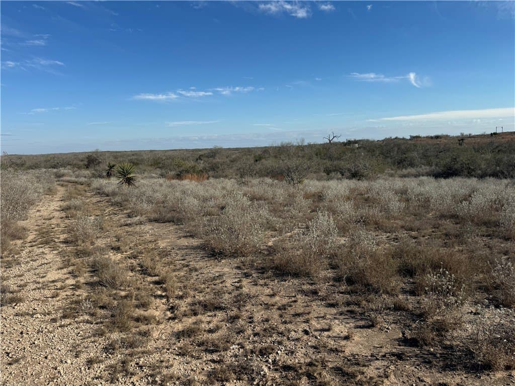 15 acres in Jim Wells County - photo 4