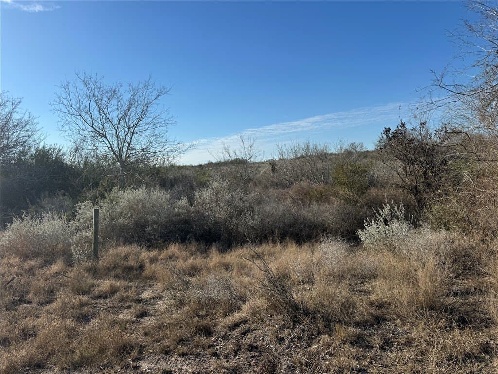 15 acres in Jim Wells County - photo 8