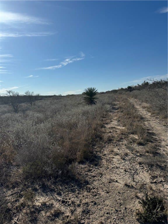 15 acres in Jim Wells County - photo 21