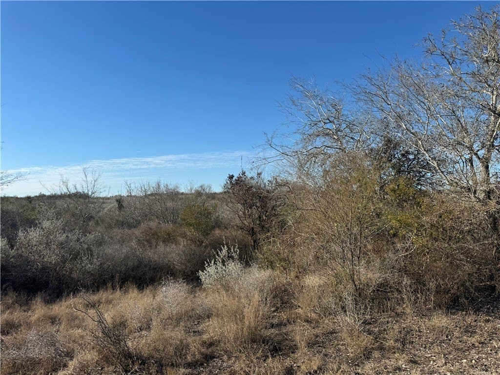 15 acres in Jim Wells County - photo 10