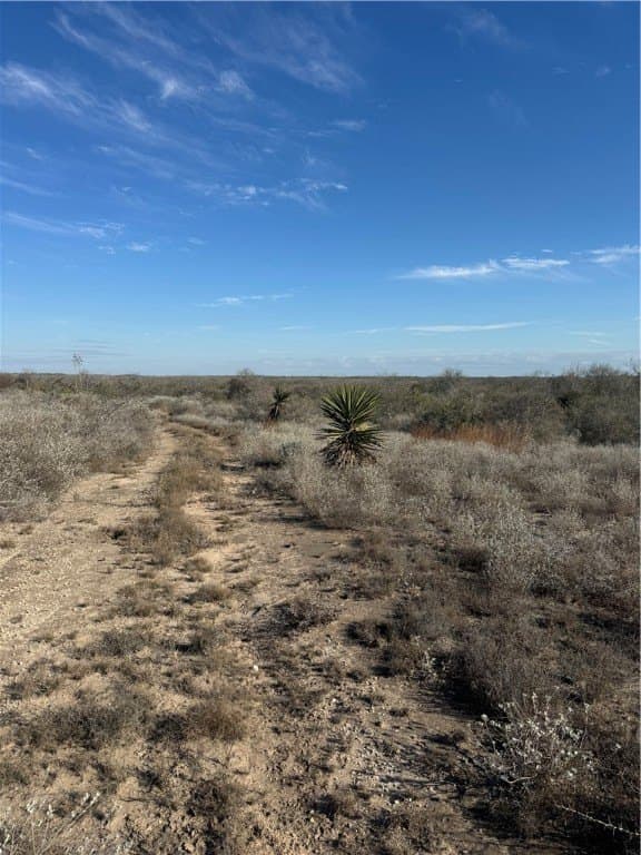 15 acres in Jim Wells County - photo 18