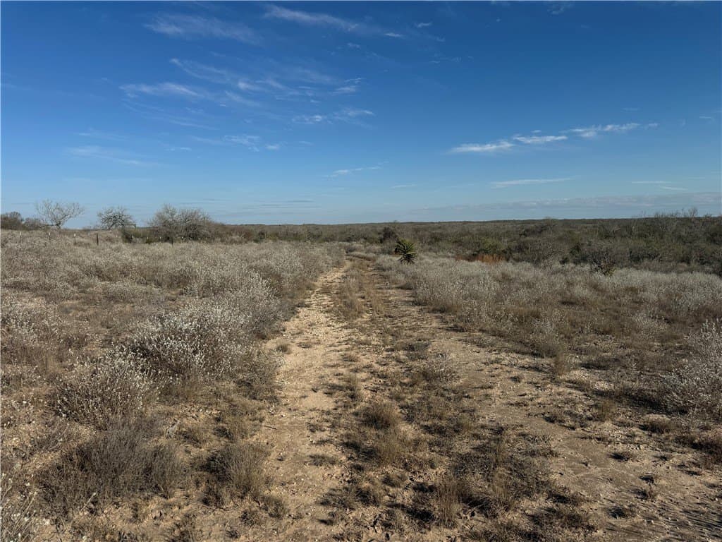 15 acres in Jim Wells County - photo 11