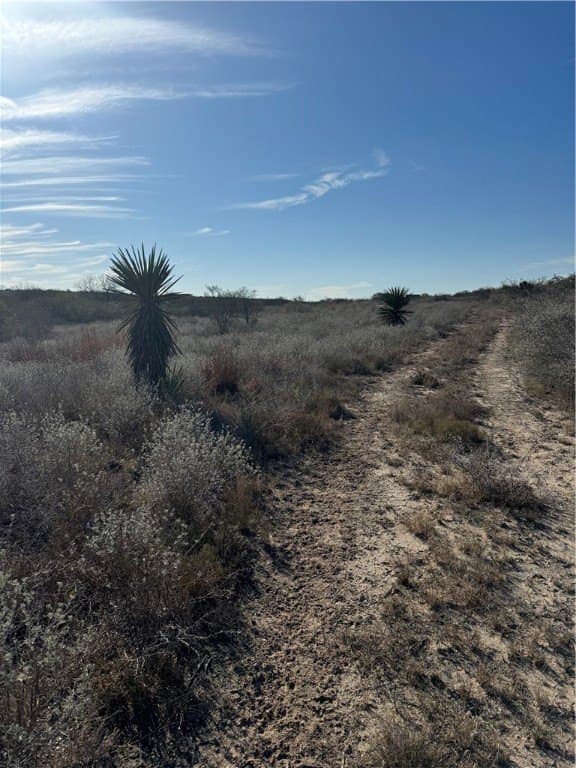 15 acres in Jim Wells County - photo 20