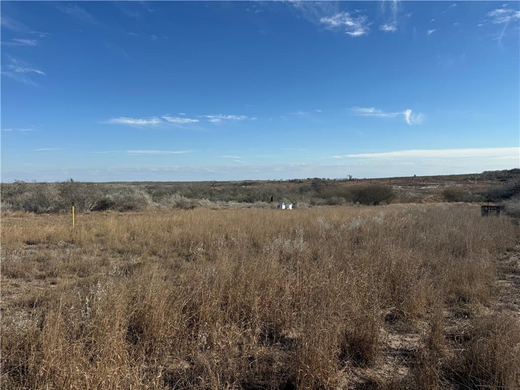 15 acres in Jim Wells County - photo 14