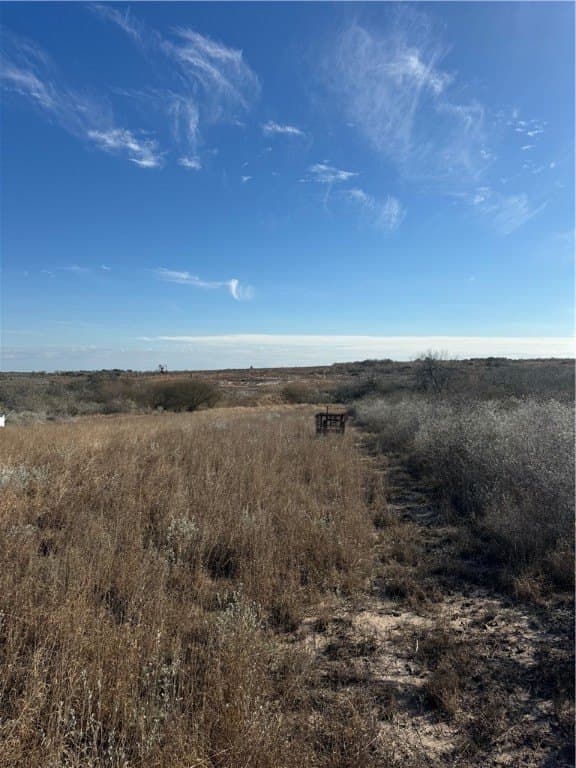 15 acres in Jim Wells County - photo 12