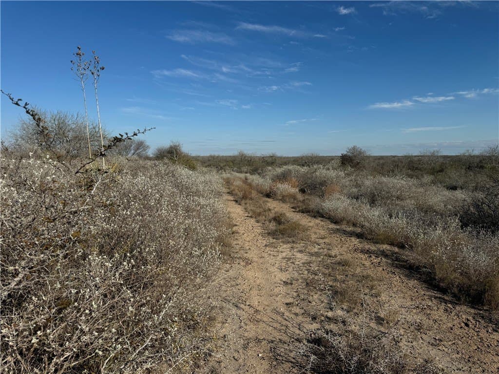 15 acres in Jim Wells County - photo 9