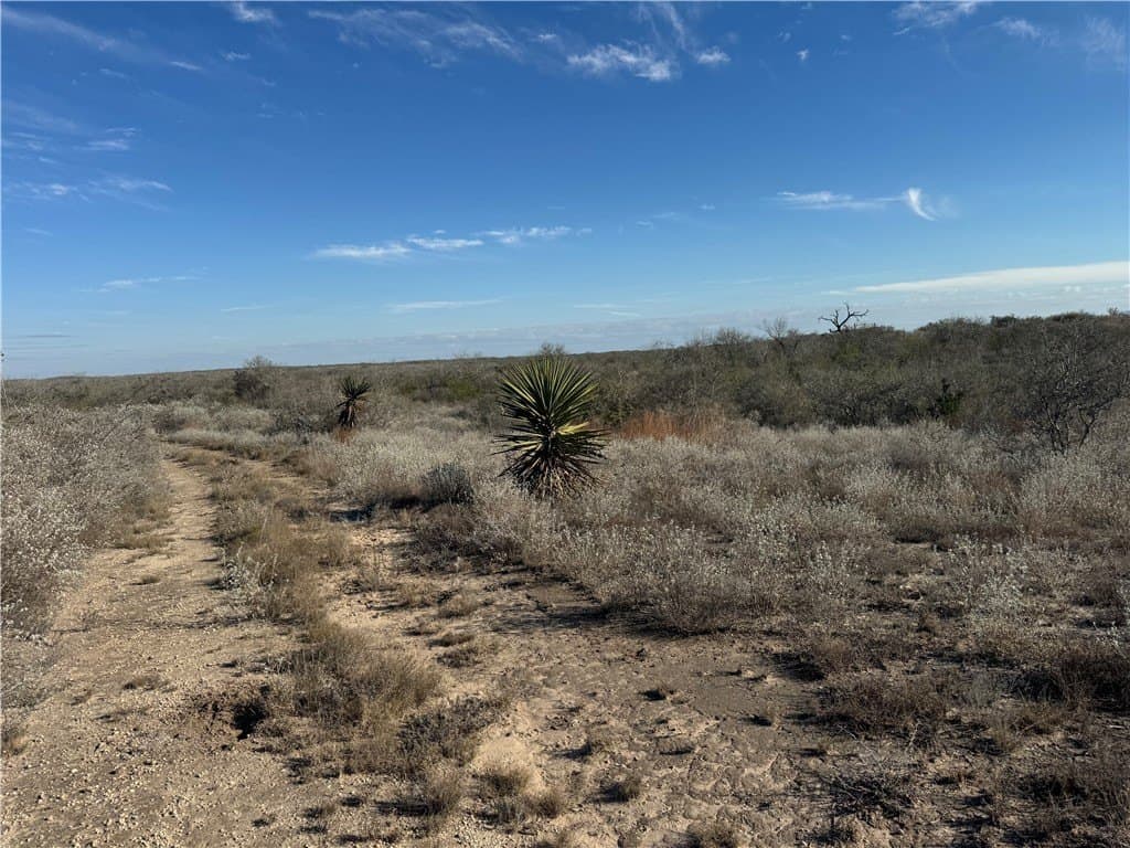 15 acres in Jim Wells County - photo 3