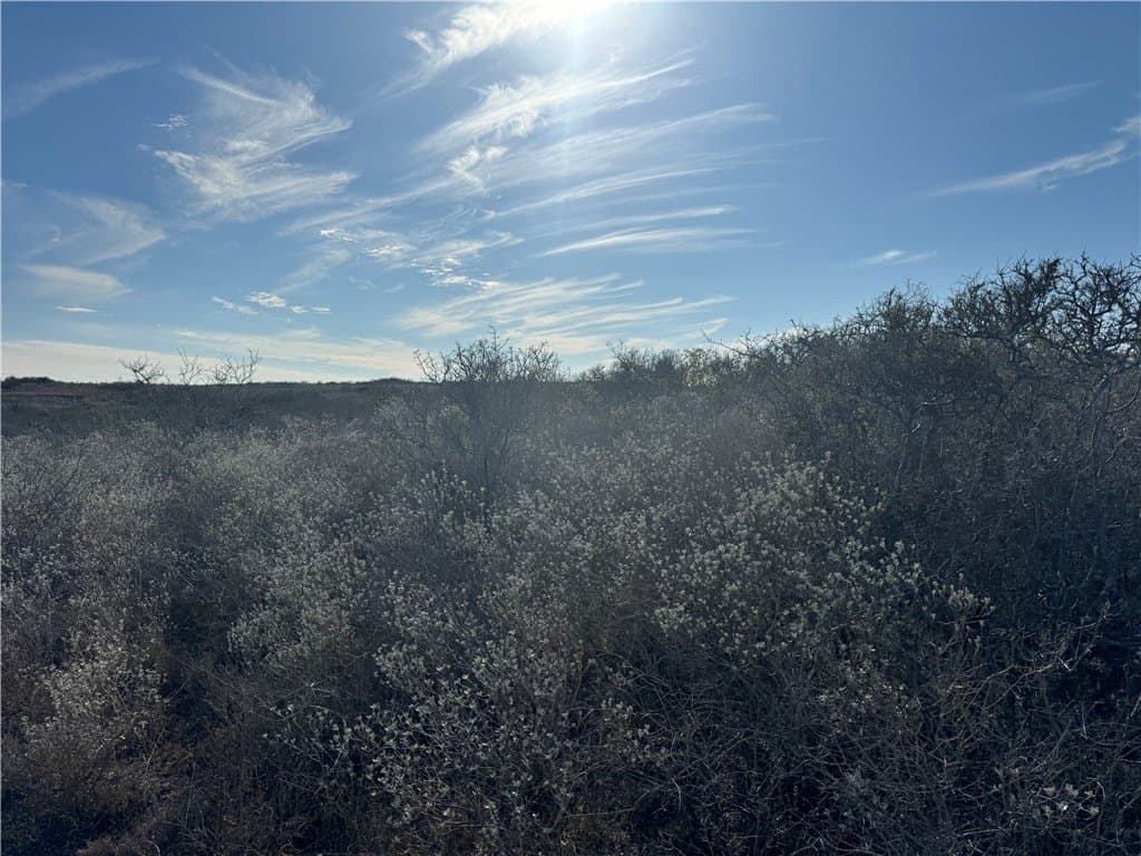 15 acres in Jim Wells County - photo 13