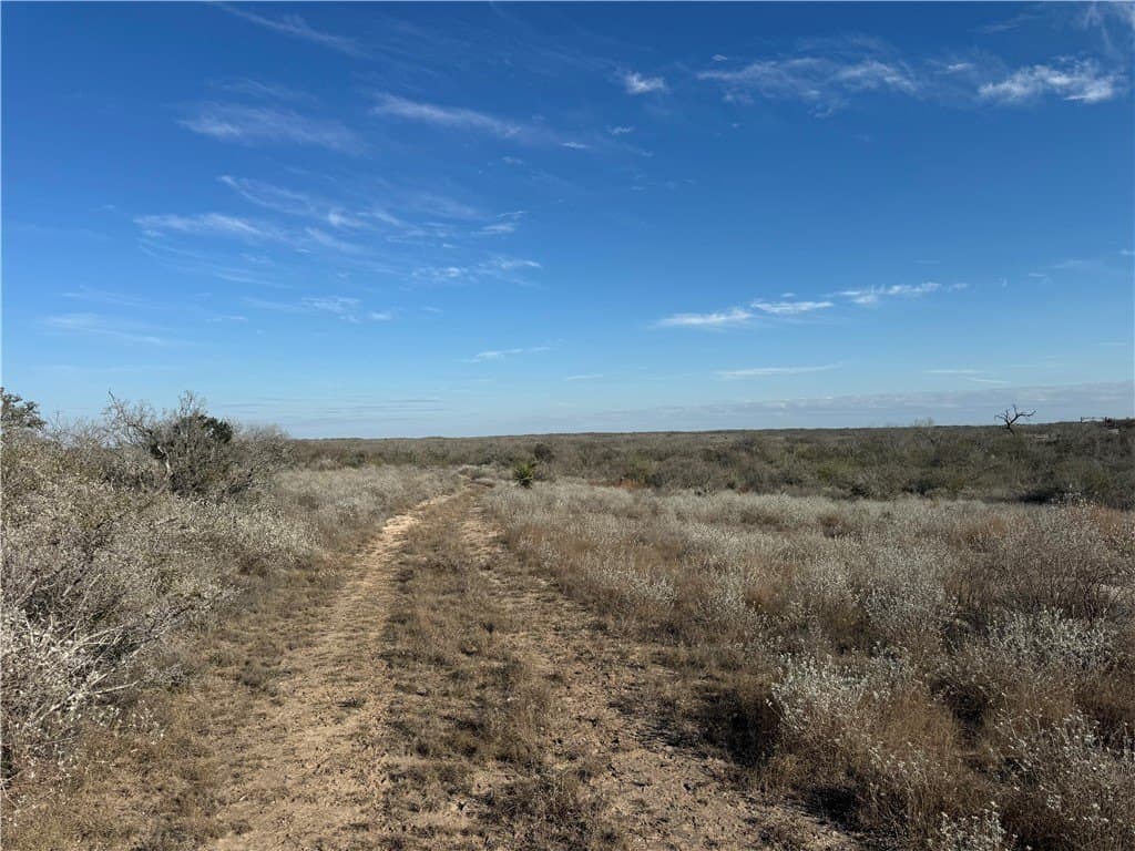15 acres in Jim Wells County - photo 6