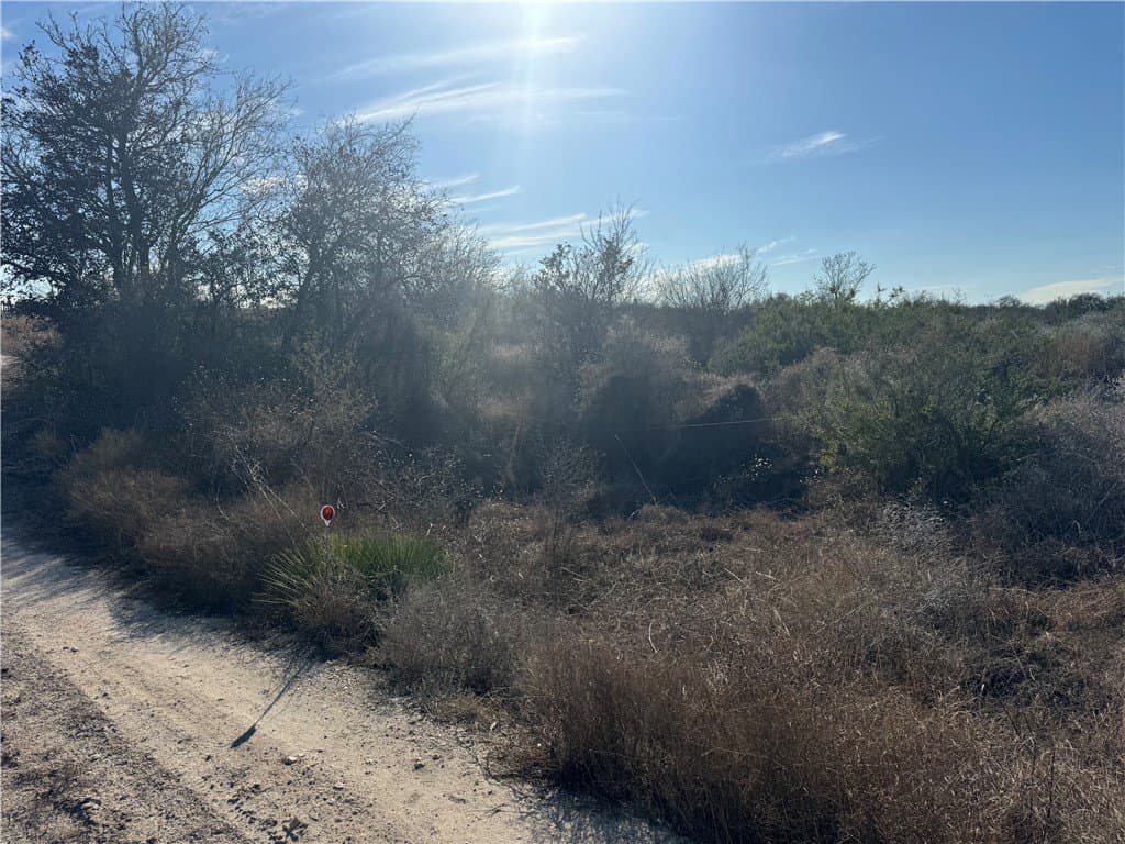 15 acres in Jim Wells County - photo 2