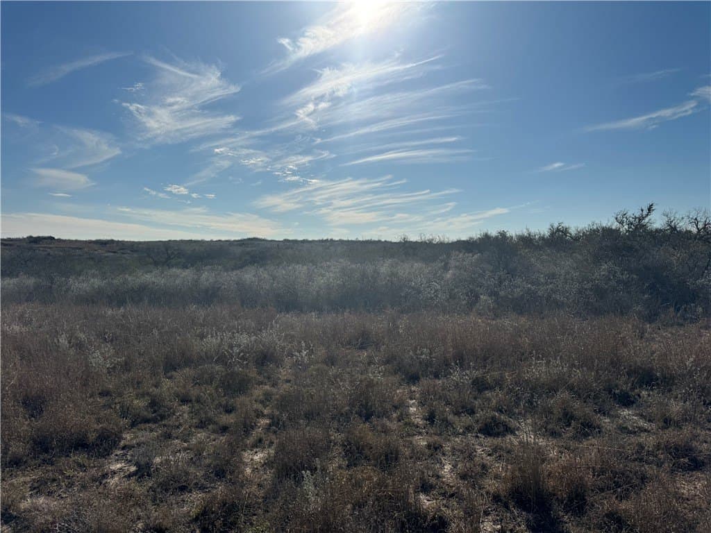 15 acres in Jim Wells County - photo 16