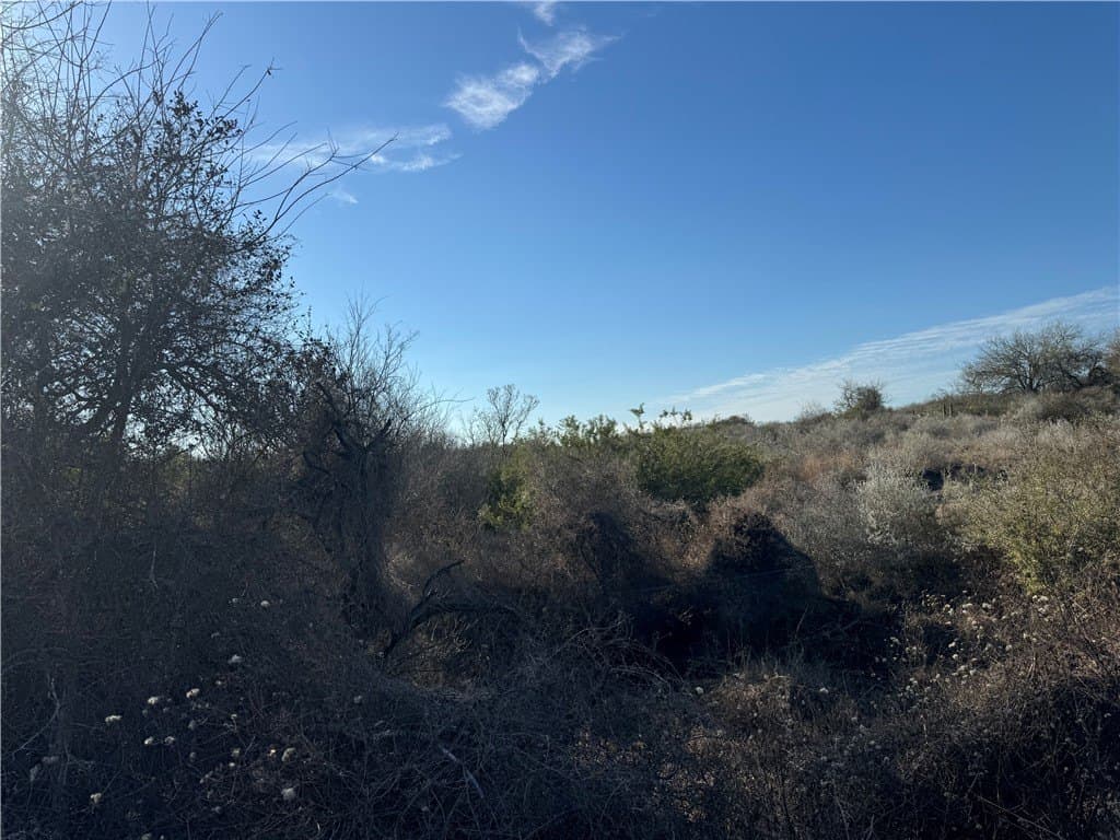 15 acres in Jim Wells County - photo 5