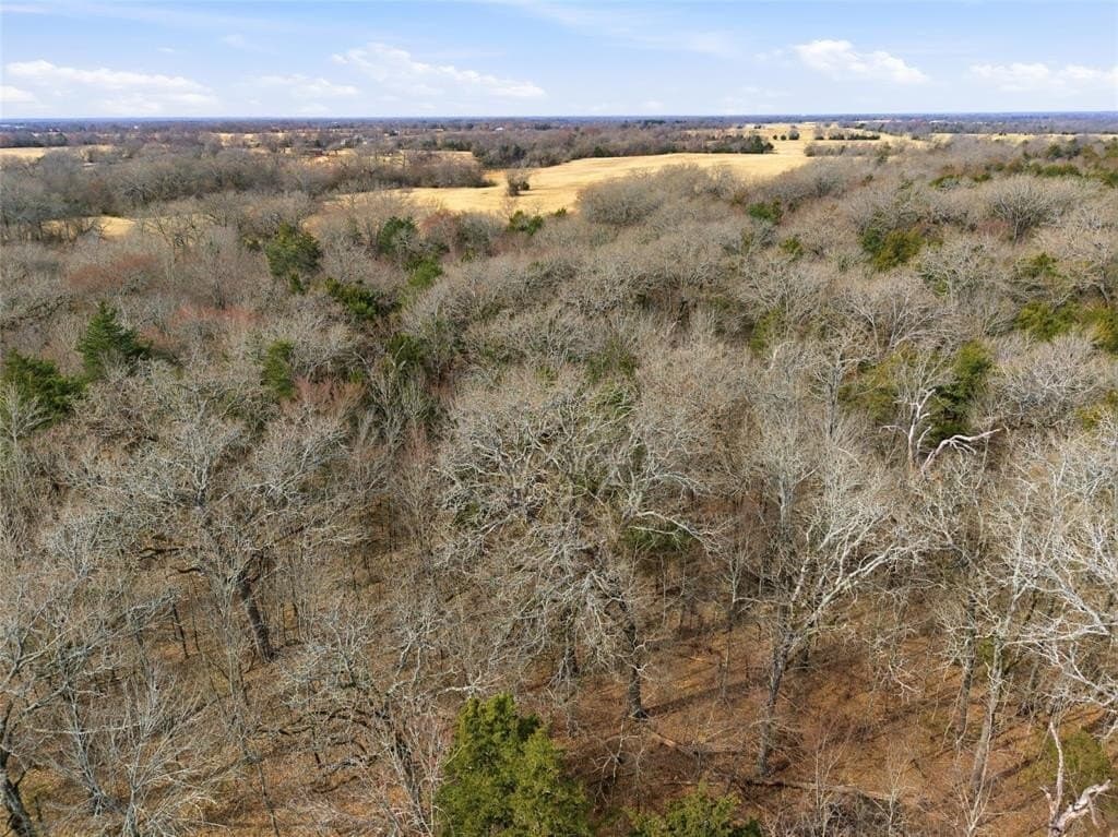 72.02 acres in Hopkins County - photo 17