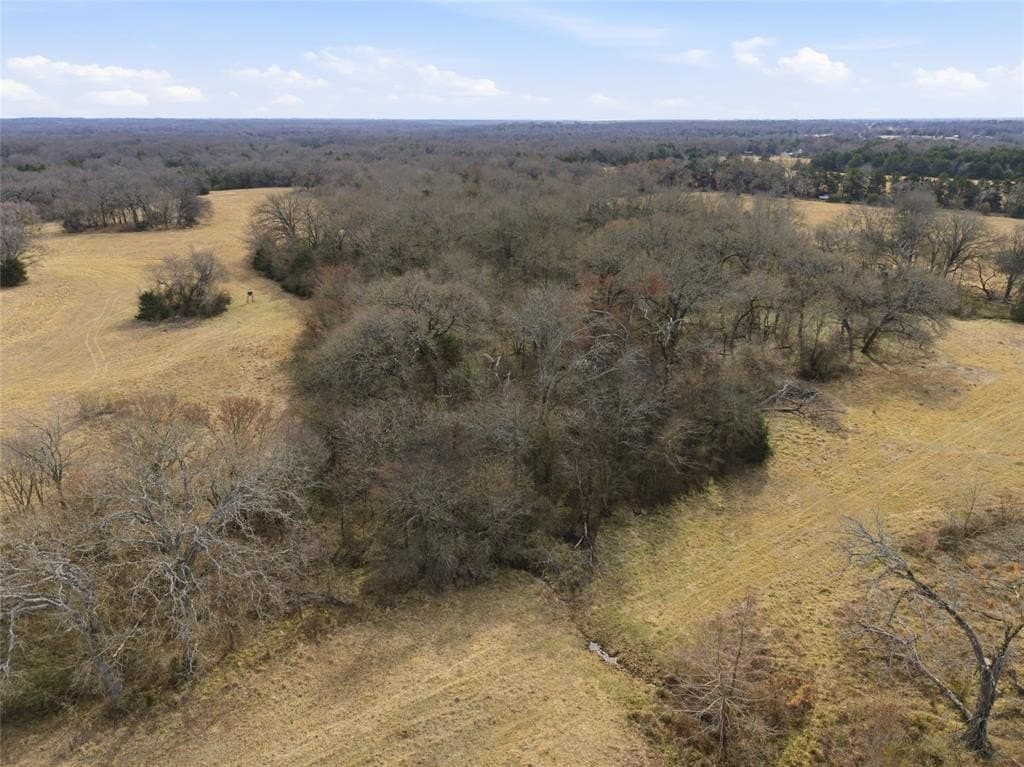 72.02 acres in Hopkins County - photo 19