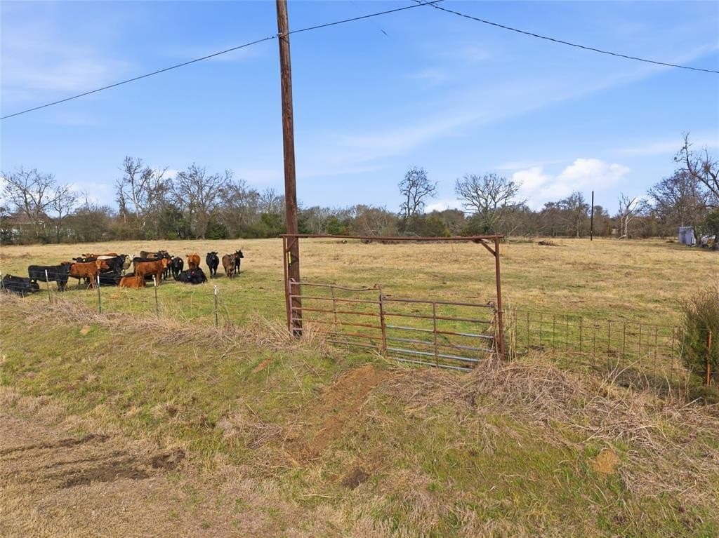 72.02 acres in Hopkins County - photo 9