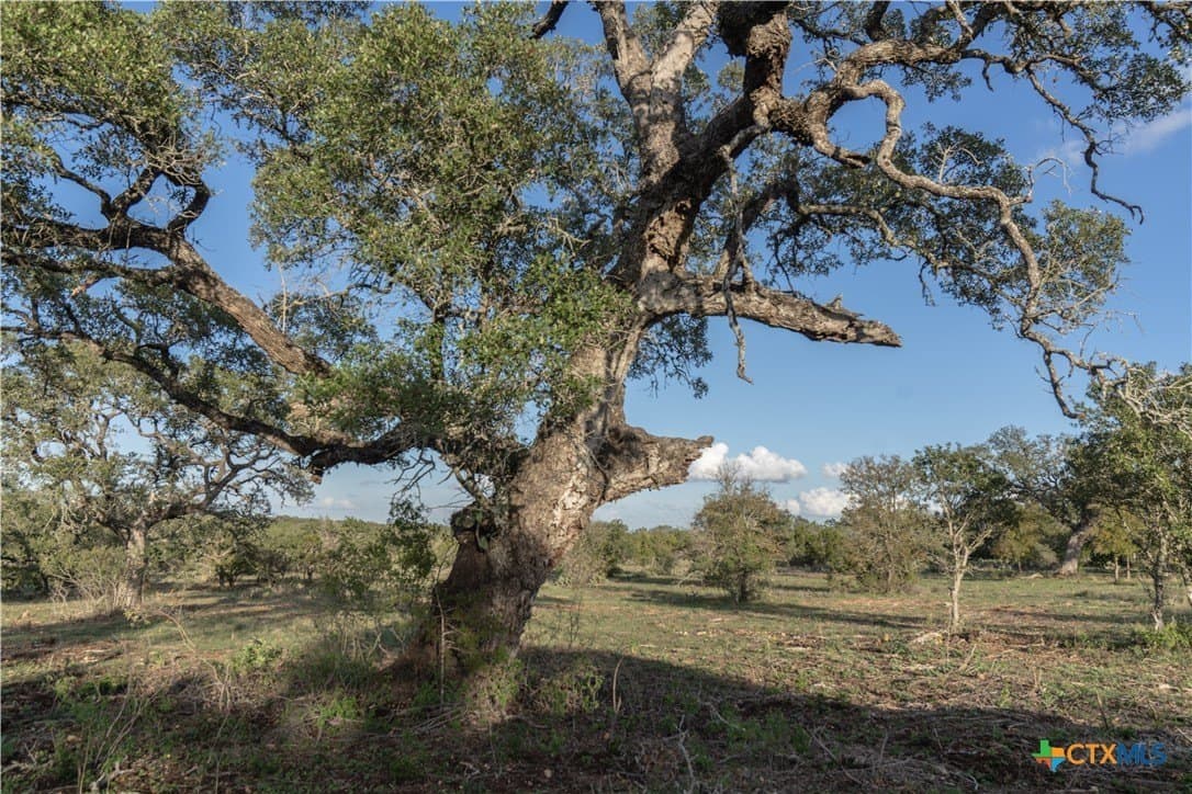 39.93 acres in Hays County - photo 33