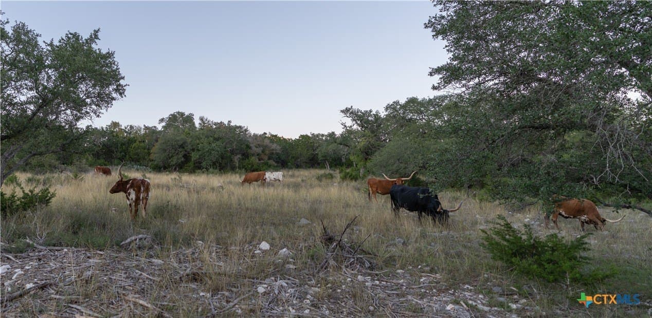 39.93 acres in Hays County - photo 29