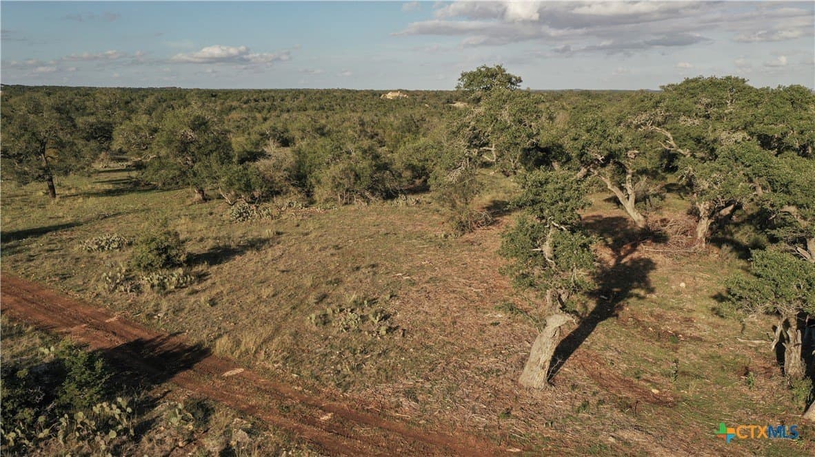 39.93 acres in Hays County - photo 17