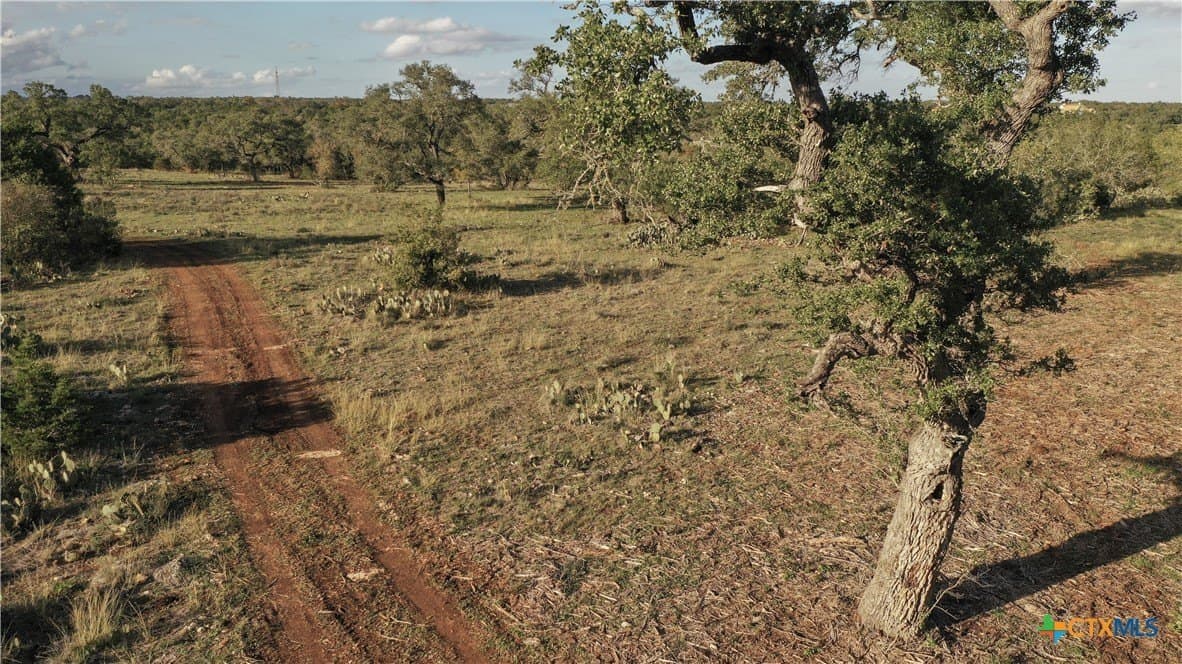 39.93 acres in Hays County - photo 27