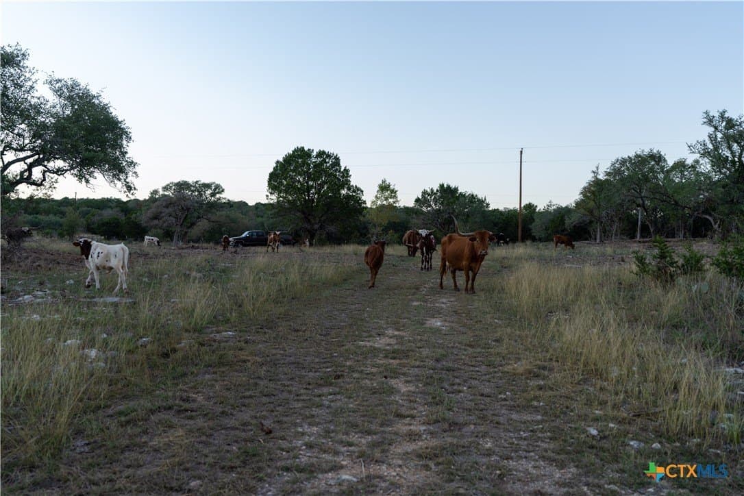 39.93 acres in Hays County - photo 15