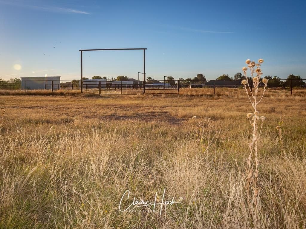 17.73 acres in Midland County - photo 76