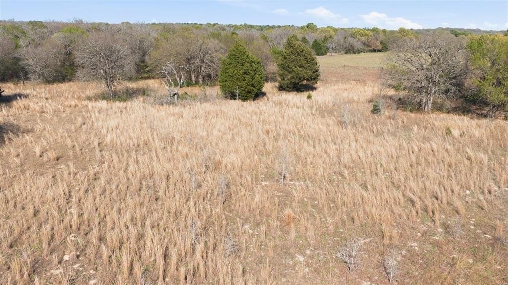 22 acres in Henderson County - photo 7