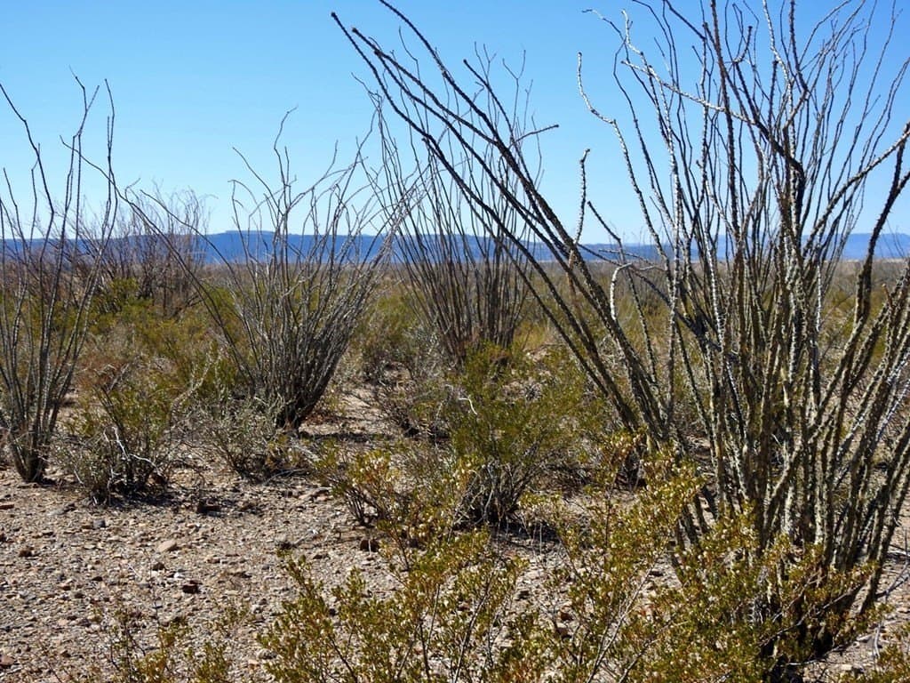 170 acres in Brewster County - photo 23