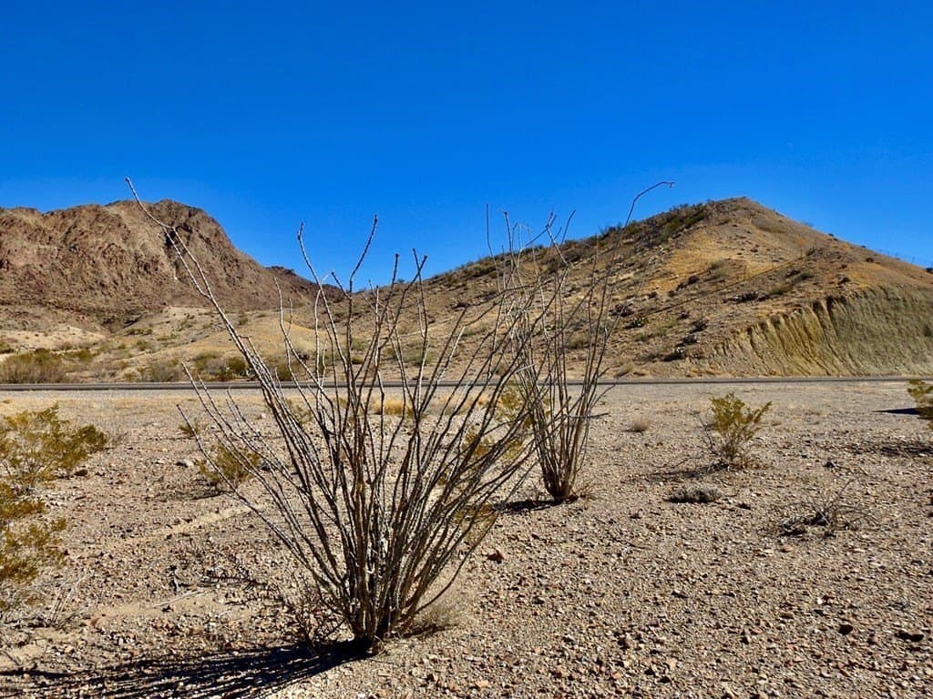 170 acres in Brewster County - photo 41