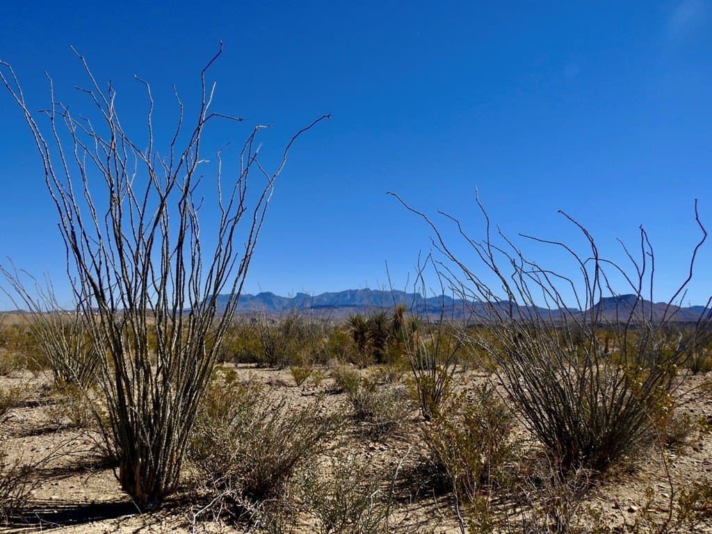 170 acres in Brewster County - photo 30