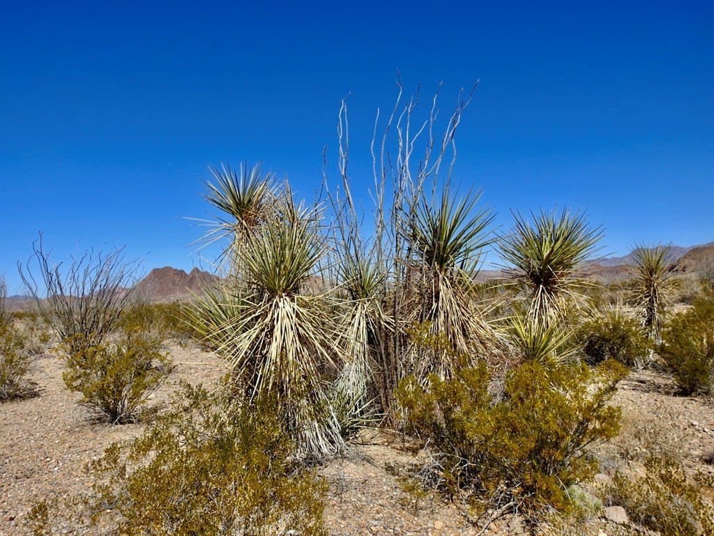 170 acres in Brewster County - photo 28