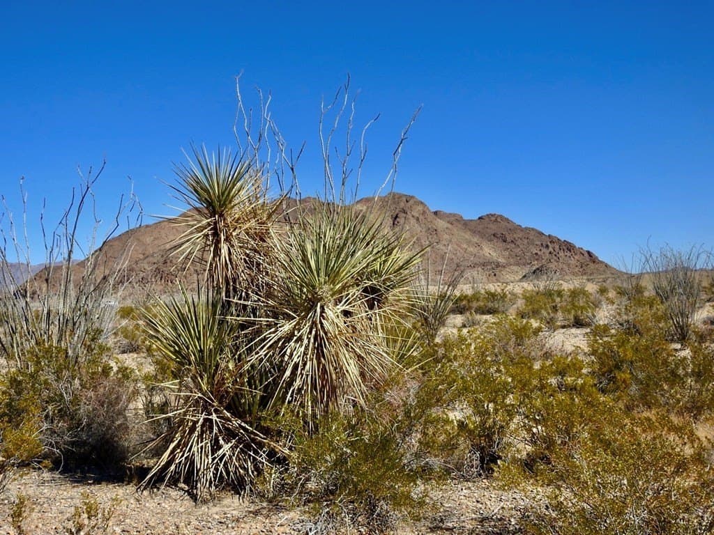 170 acres in Brewster County - photo 26