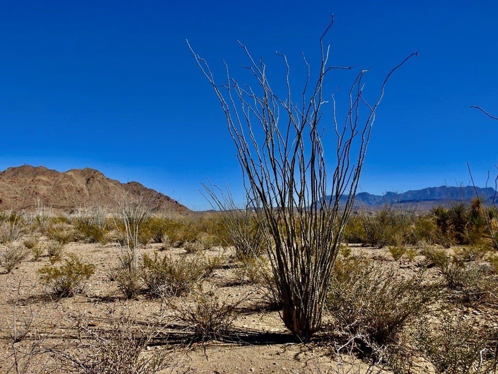 170 acres in Brewster County - photo 29