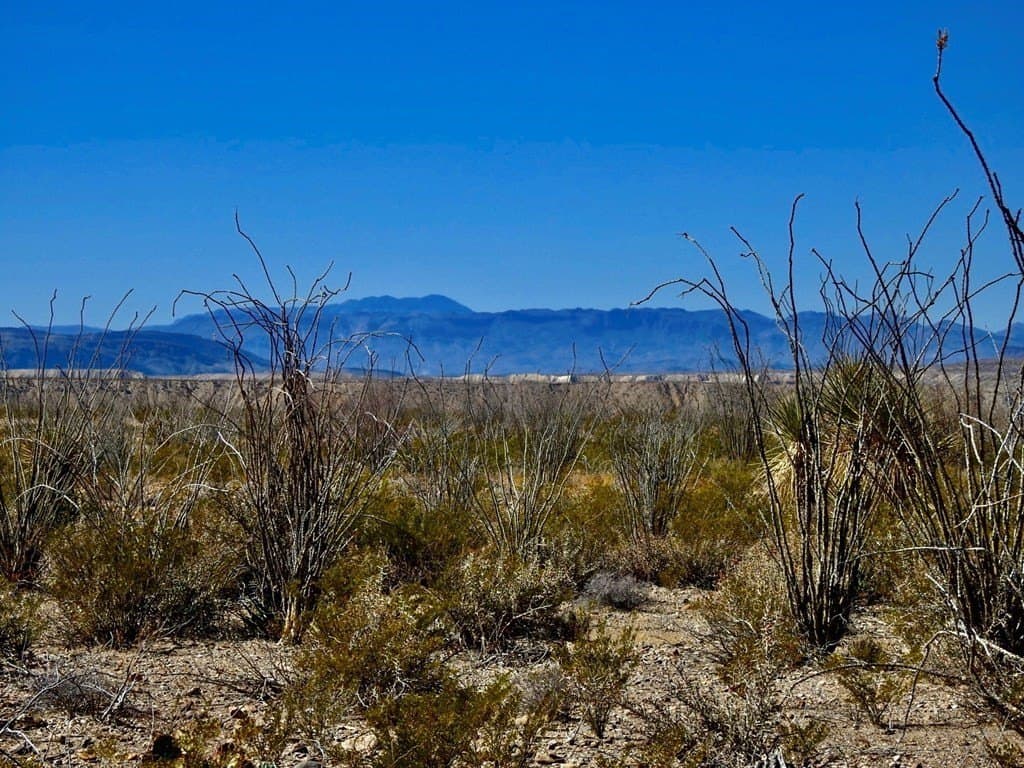 170 acres in Brewster County - photo 27