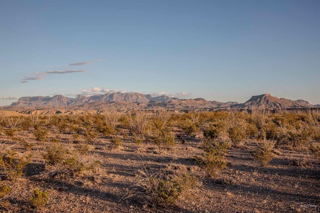 170 acres in Brewster County - photo 55