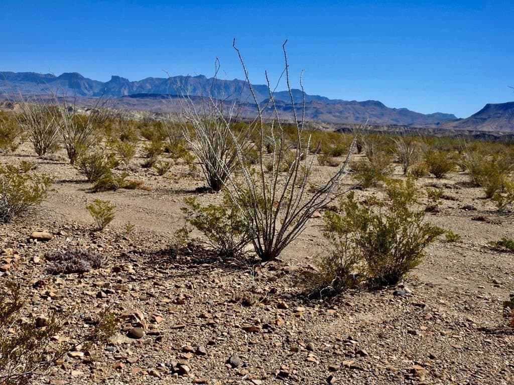 170 acres in Brewster County - photo 11
