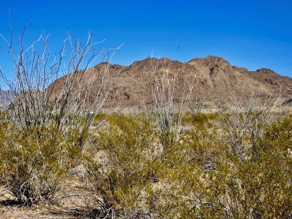 170 acres in Brewster County - photo 20