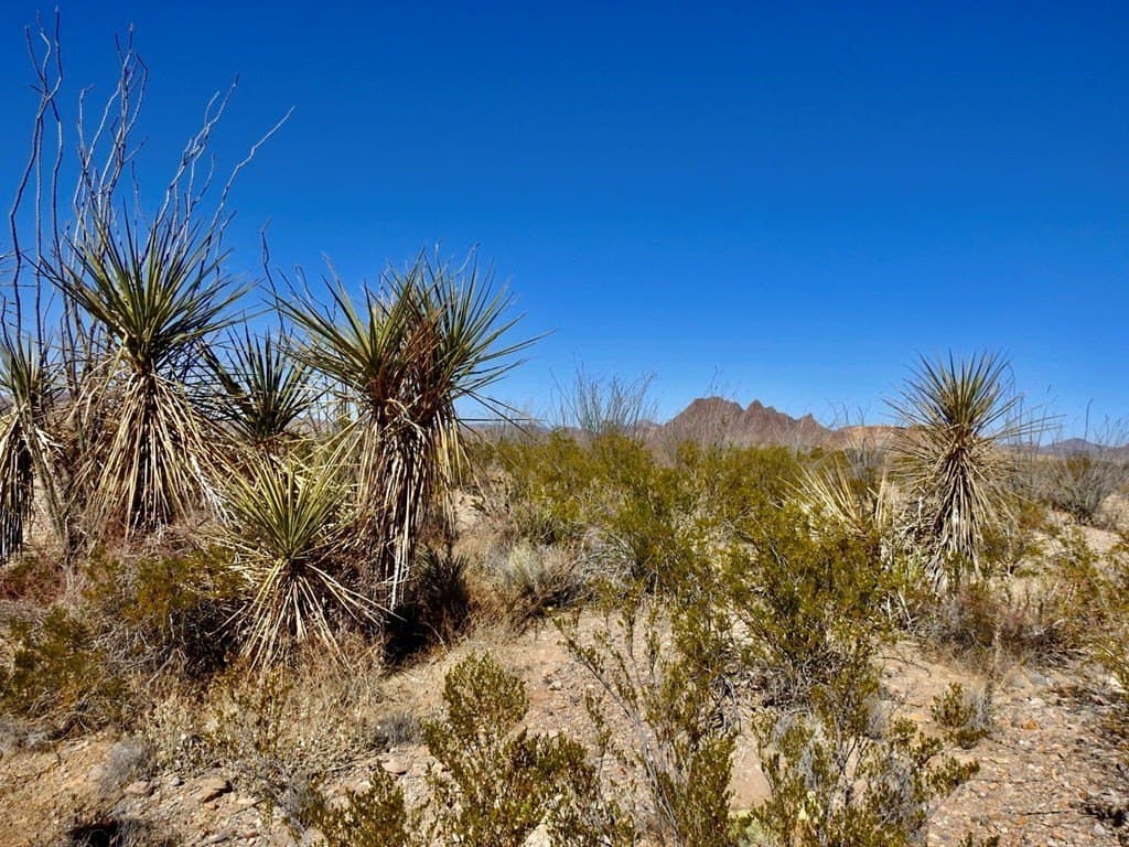 170 acres in Brewster County - photo 32