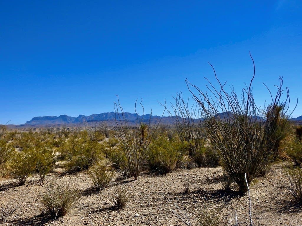 170 acres in Brewster County - photo 24