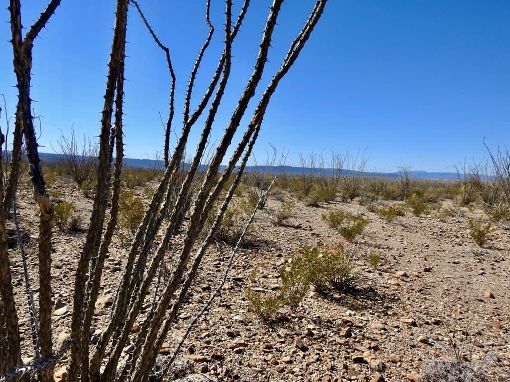 170 acres in Brewster County - photo 35