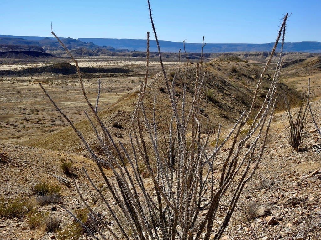 170 acres in Brewster County - photo 22