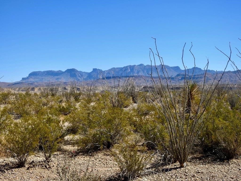 170 acres in Brewster County - photo 21