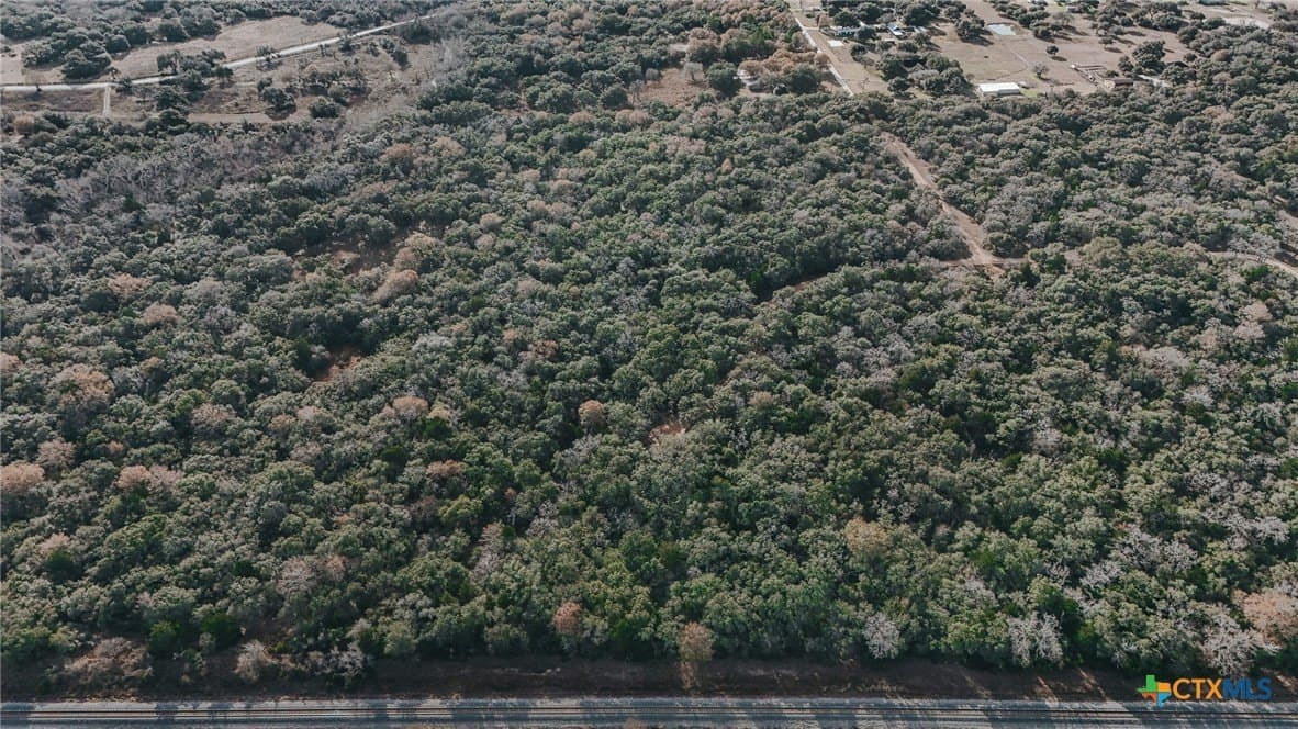 25.03 acres in Victoria County - photo 17