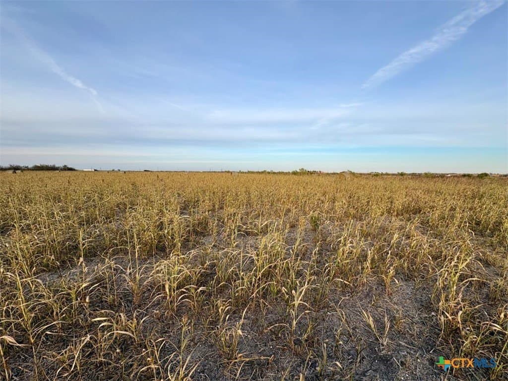 11.88 acres in Milam County - photo 2