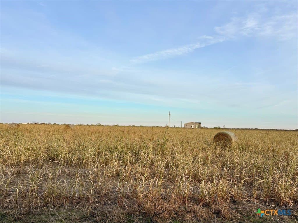 11.88 acres in Milam County - photo 3