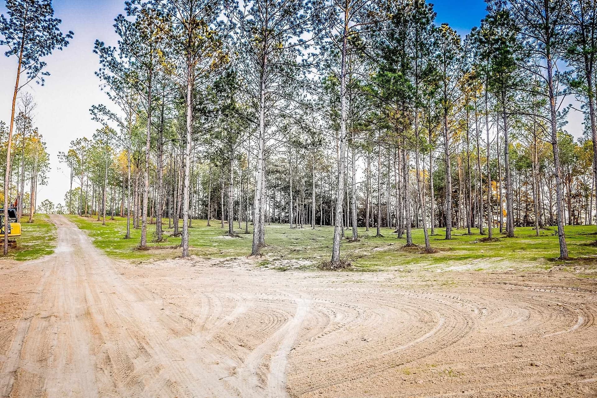 36.15 acres in Harrison County - photo 8