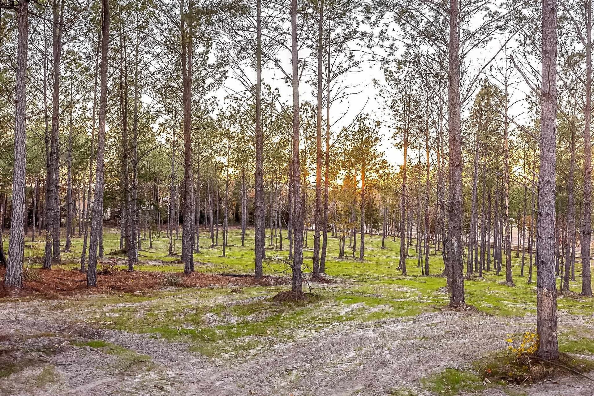 36.15 acres in Harrison County - photo 13