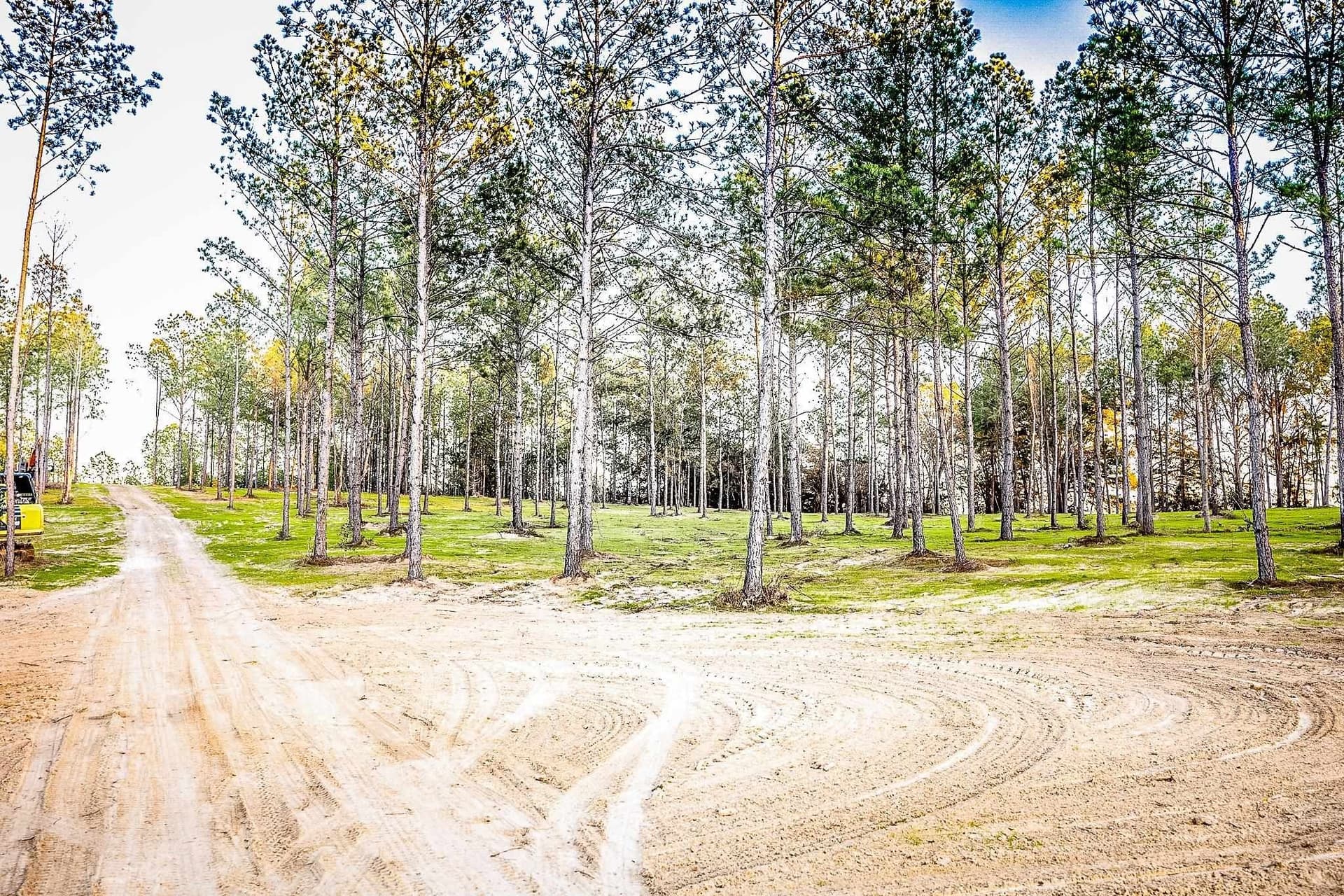 36.15 acres in Harrison County - photo 9
