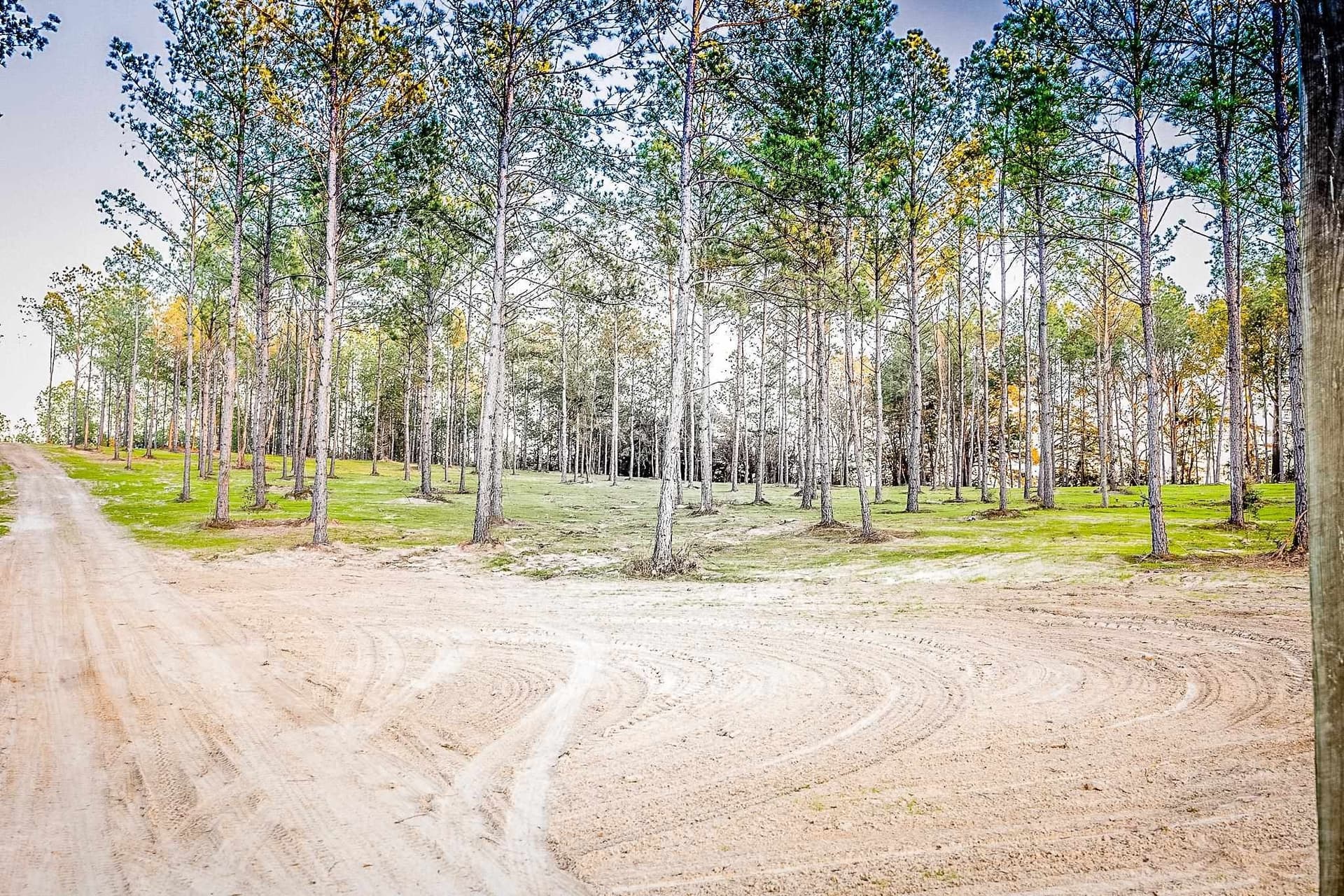 36.15 acres in Harrison County - photo 6