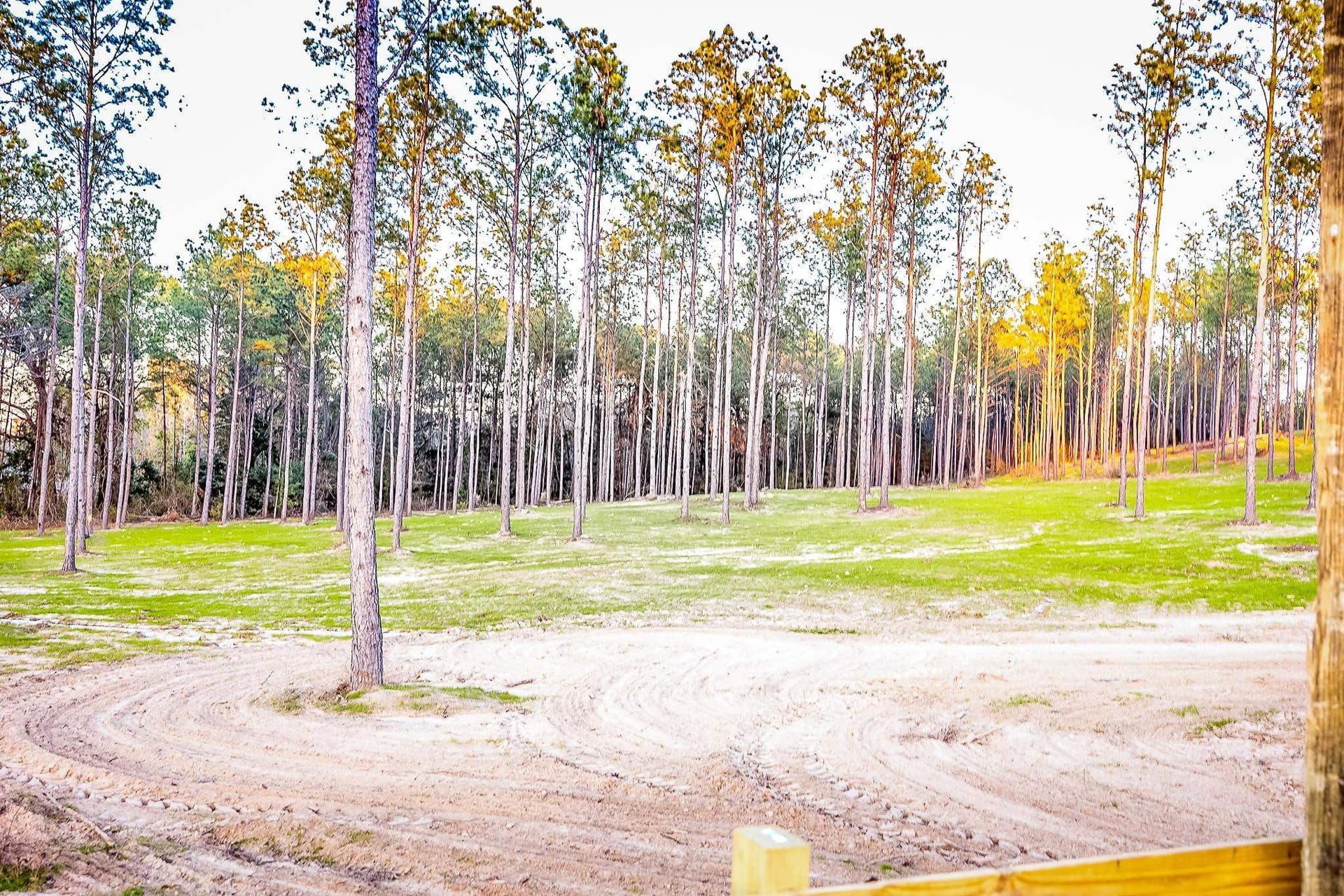36.15 acres in Harrison County - photo 5