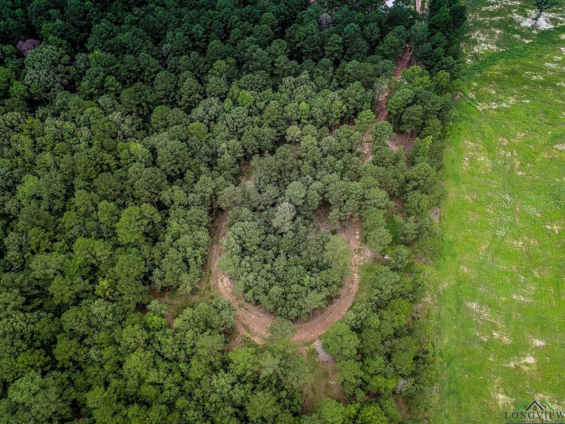 34.82 acres in Marion County - photo 6